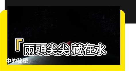 兩頭尖尖 藏在水中|小小船兒兩頭尖，水裡生長不露臉。骨頭黑黑鑲在外，白色元寶藏。